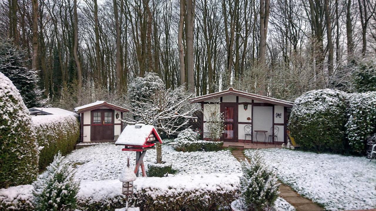 Haus Im Grunen Βίλα Billerbeck Εξωτερικό φωτογραφία